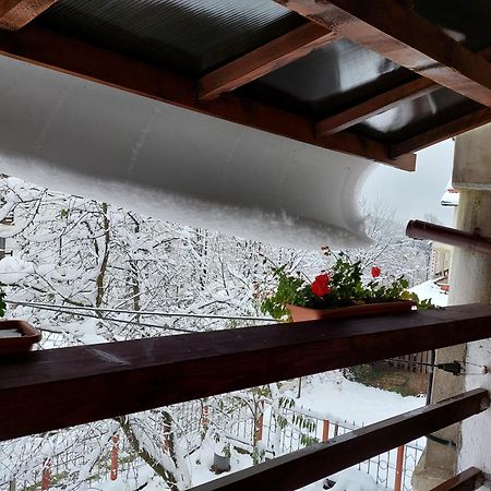 Holiday House Văliug Eksteriør billede