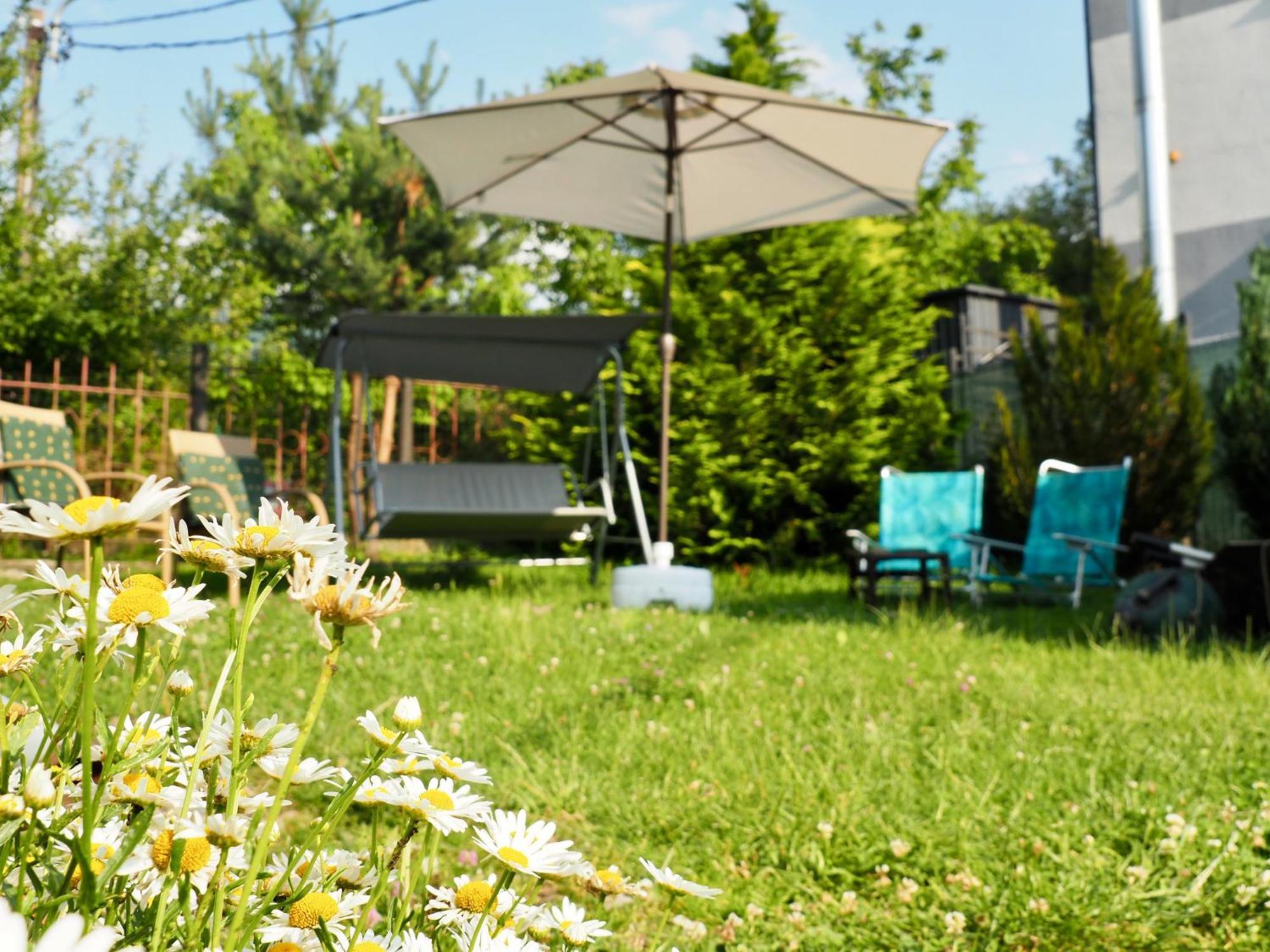 Holiday House Văliug Eksteriør billede