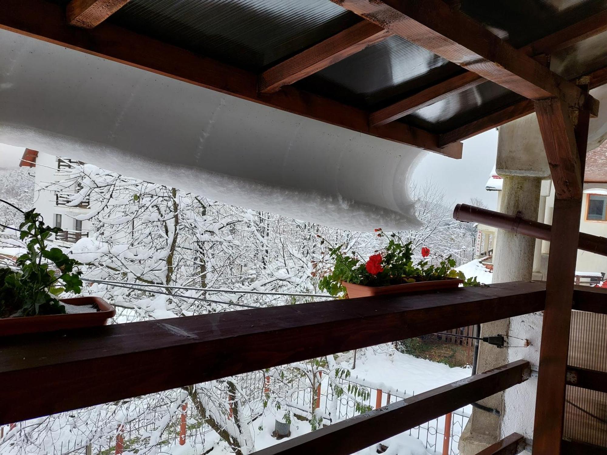 Holiday House Văliug Eksteriør billede